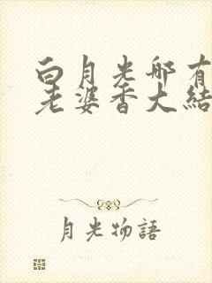 白月光哪有联姻老婆香大结局