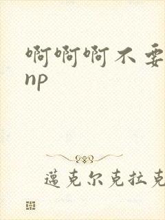 啊啊啊不要高hnp