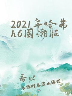 2021年哈弗h6国潮版