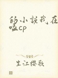 的小说我在古代嗑cp