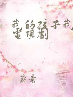 我的孩子我的家电视剧
