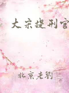 大宋提刑官 大宋提刑官
