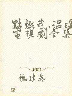 点燃我,温暖你电视剧全集多少集