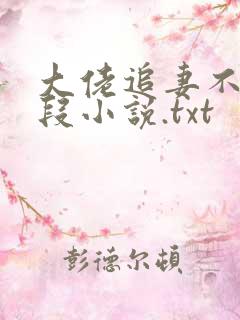 大佬追妻不择手段小说.txt 大佬追妻不择手段小说.txt
