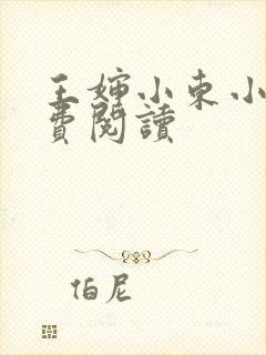 王婶小东小说免费阅读