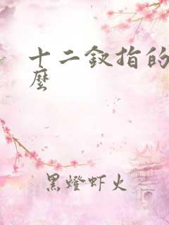 十二钗指的是什么