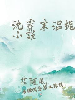 沈霁寒温栀妍的小说