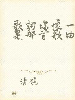 歌词你像一朵花是哪首歌曲