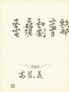 丞磊和宋轶演的电视剧有哪些