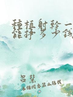 种植射干一亩地能挣多少钱