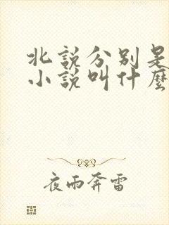 北说分别是原著小说叫什么