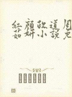 红颜政道周平丁茹妍小说免费阅读