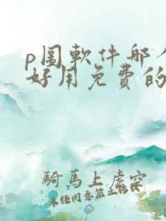 p图软件哪个最好用免费的