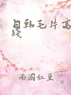 日韩毛片高清在线