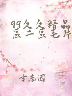 99久久精品一区二区毛片