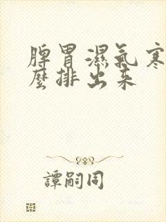 脾胃湿气寒气怎么排出来