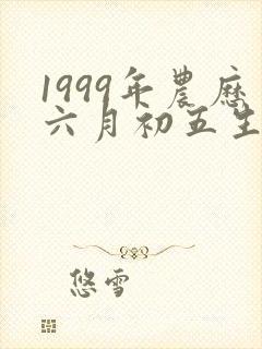 1999年农历六月初五生辰八字