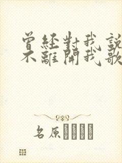 曾经对我说你永不离开我歌词