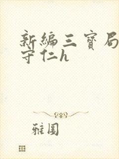 新编三宝局长秦守仁h