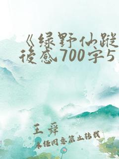 《绿野仙踪》读后感700字5篇