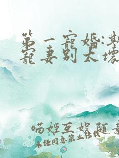 第一宠婚:斯少宠妻别太坏