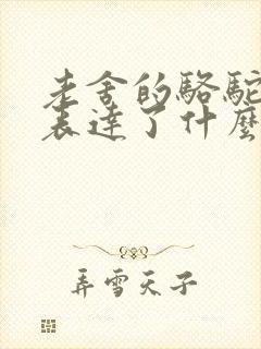 老舍的骆驼祥子表达了什么