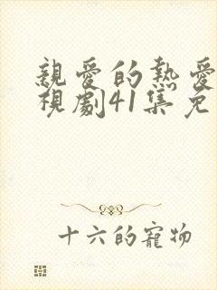 亲爱的热爱的电视剧41集免费