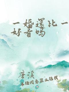 一婚还比一婚高好看吗