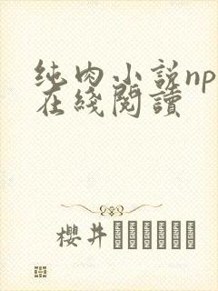 纯肉小说np文在线阅读
