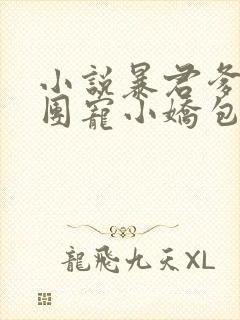 小说暴君爹爹的团宠小娇包txt 小说暴君爹爹的团宠小娇包txt