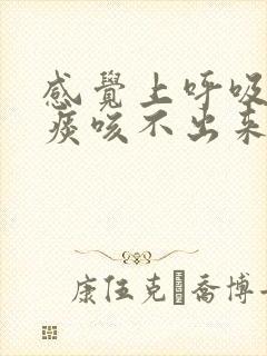 感觉上呼吸道有痰咳不出来