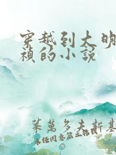 穿越到大明当崇祯的小说