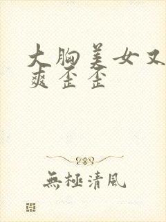 大胸美女又黄又爽歪歪