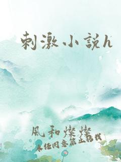 刺激小说h