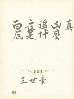 白夜追凶真相到底是什么