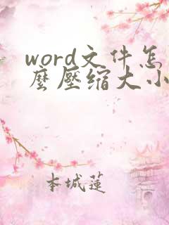 word文件怎么压缩大小