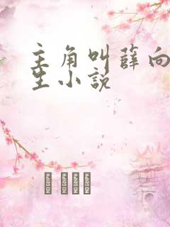 主角叫薛向的重生小说