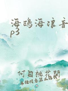 海鸥海浪音效mp3
