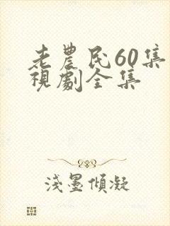 老农民60集电视剧全集