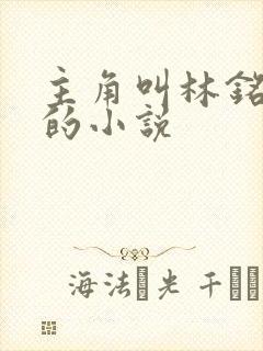 主角叫林铭陈佳的小说