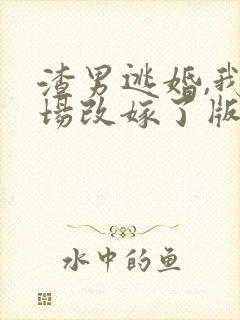 渣男逃婚,我当场改嫁了版