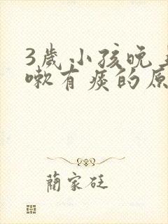 3岁小孩晚上咳嗽有痰的原因