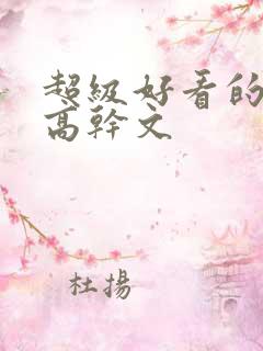 超级好看的小说高干文