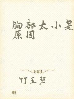 胸部太小是什么原因