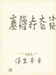 电脑上文件怎么压缩打包发送