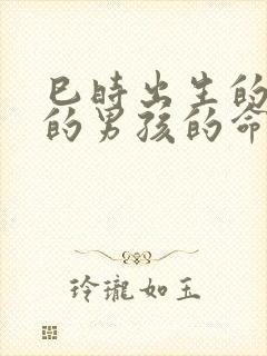巳时出生的属狗的男孩的命运