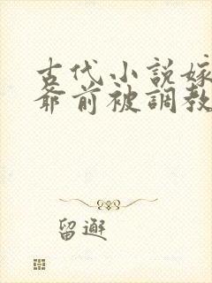 古代小说嫁给王爷前被调教