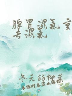 脾胃湿气重如何去湿气