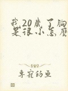我20岁了胸还是很小怎么办