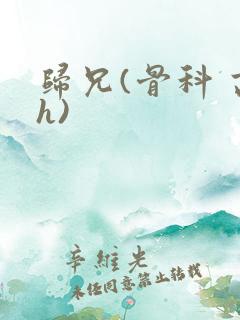 归兄(骨科 高h) 归兄(骨科 高h)